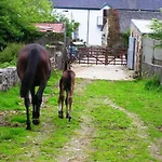 Clare Ecolodge *