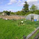 Pensionat Clare Ecolodge