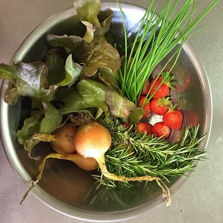 Clare Ecolodge Pensión Feakle