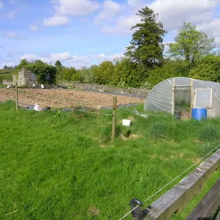 Pensión Clare Ecolodge