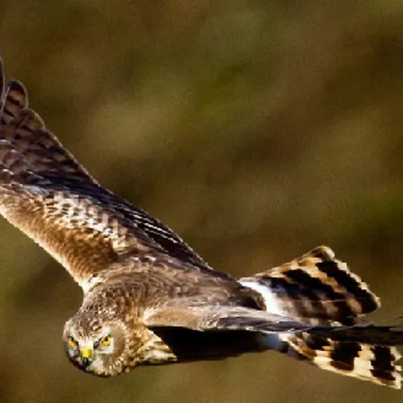 Pensión Clare Ecolodge *