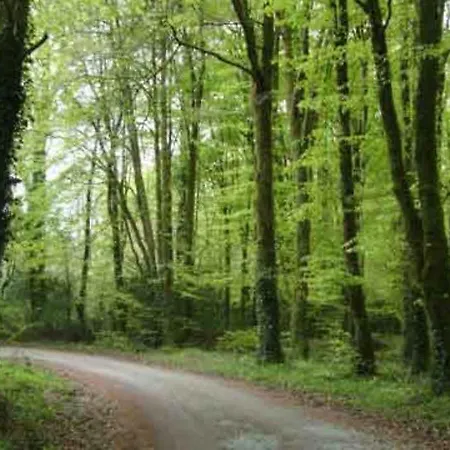 Clare Ecolodge Pensión *