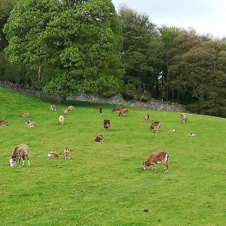 Pensión Clare Ecolodge