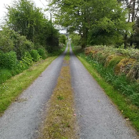 Pensión Clare Ecolodge