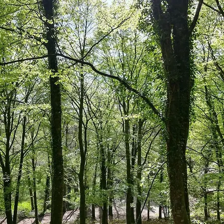 Clare Ecolodge Feakle