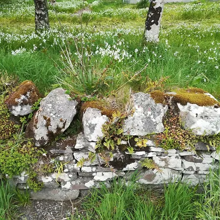 Clare Ecolodge * Feakle