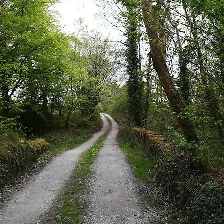 Clare Ecolodge * Feakle