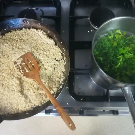 Clare Ecolodge Pensión