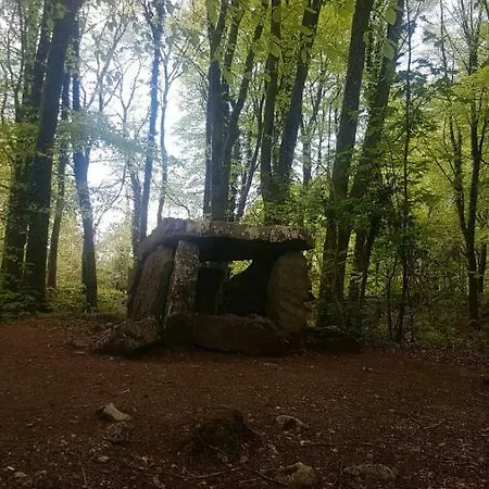 Πανσιόν Clare Ecolodge Feakle