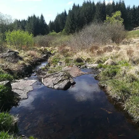 Clare Ecolodge Pensión Feakle