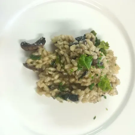 Clare Ecolodge Pensión Feakle