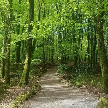 Clare Ecolodge * Feakle