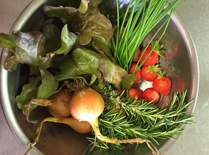 Clare Ecolodge 招待所 Feakle