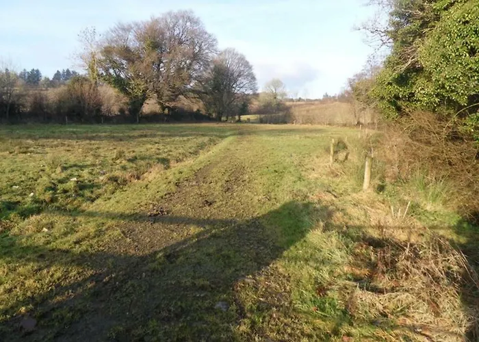 Clare Ecolodge Pensjonat Feakle