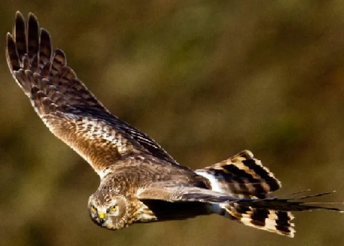 招待所 Clare Ecolodge *