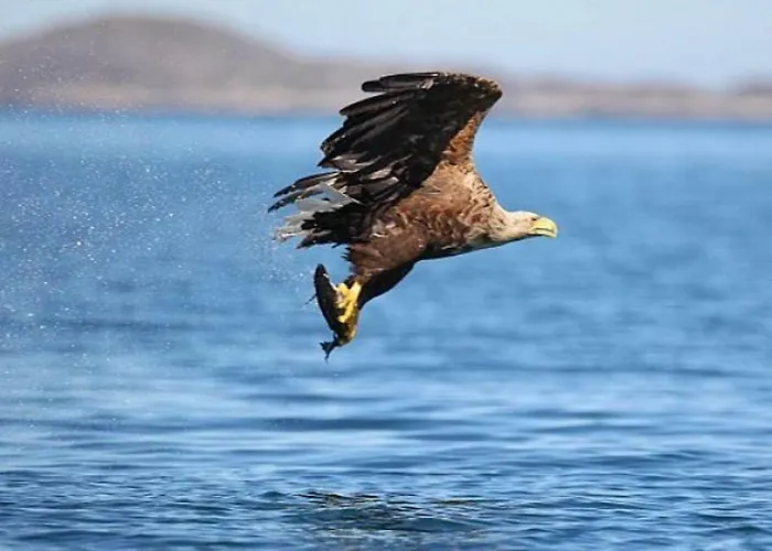 Clare Ecolodge * Feakle