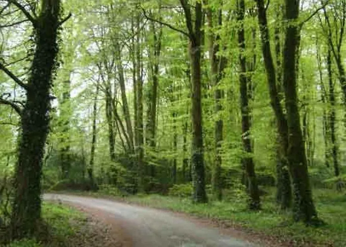 Clare Ecolodge Pensjonat *