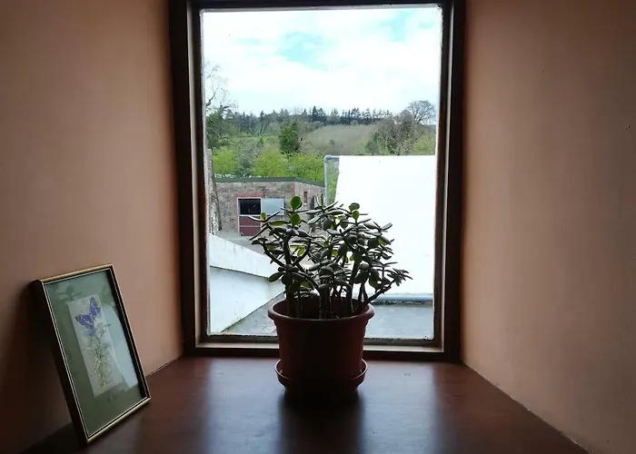 Clare Ecolodge * Feakle