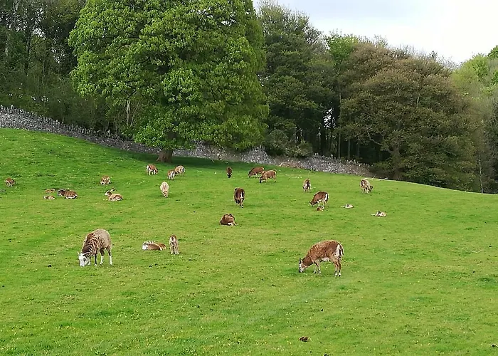 Vendégház Clare Ecolodge