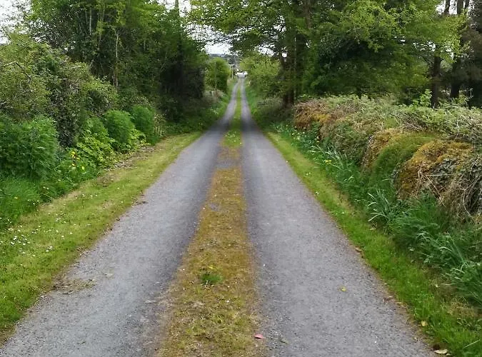 招待所 Clare Ecolodge