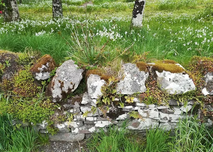 Clare Ecolodge * Feakle