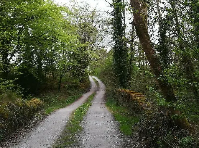 Clare Ecolodge * Feakle