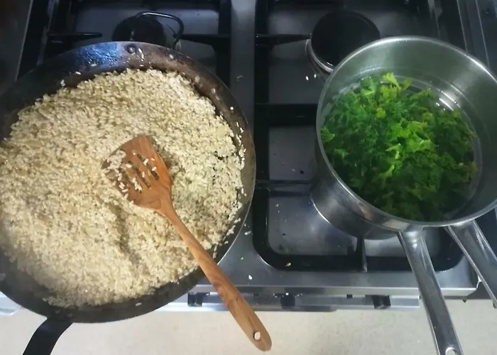 Clare Ecolodge 招待所