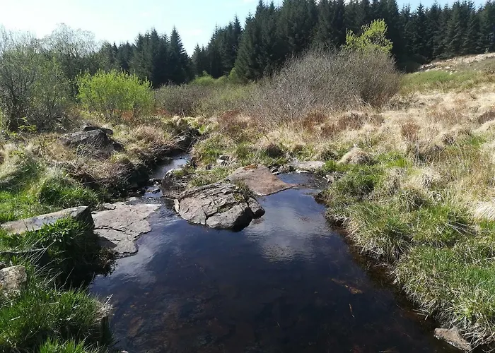 Clare Ecolodge Pensjonat Feakle