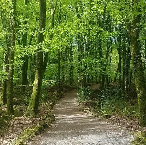 Clare Ecolodge * Feakle