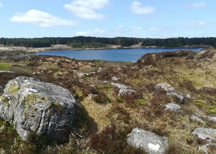 Clare Ecolodge Feakle